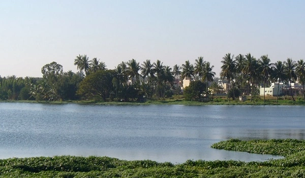 Featured Image of About GK Hill View